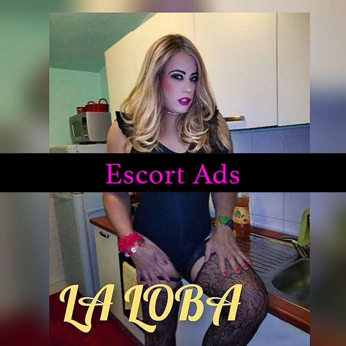 Annuncio Escort Ads - TRANS ATTIVA🍆 ANCHE PASSIVA DOLCE COME LA MIELE 💥E CALDA COME IL SOLE UNA UNA BELLA CAVALLONA🐽🥳🥳