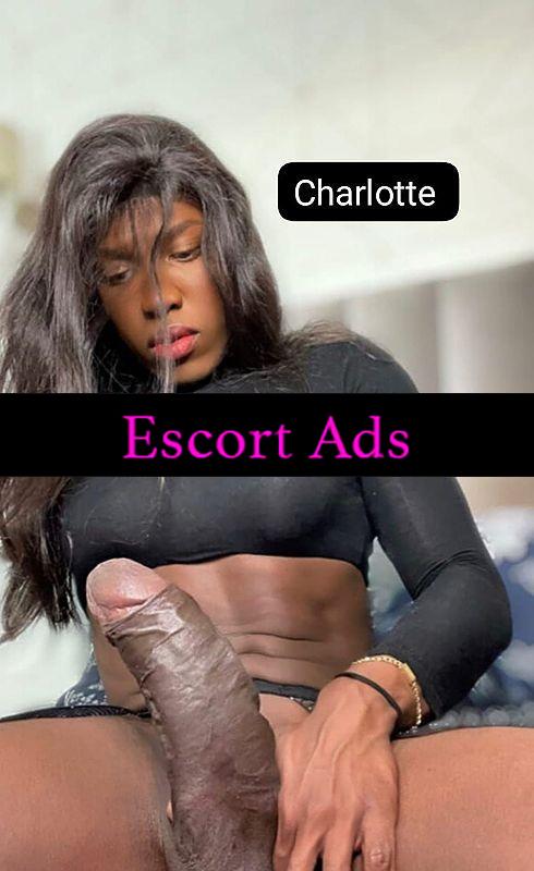 Annuncio Escort Ads - Charlotte bellissima trav cubana appena arrivataa Bologna🌹💸🍫🍆💦❤️🔝