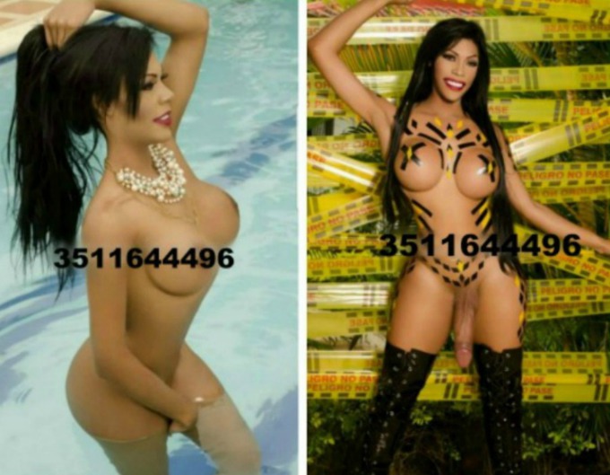 Annuncio Escort Ads - NEW A VASTO????SILVANA TRANS????ATTIVA, PASSIVA, SENSUALE, FEMMINILE CON UN GROSSO ARNESE POTENTE, CARICO E PIENO