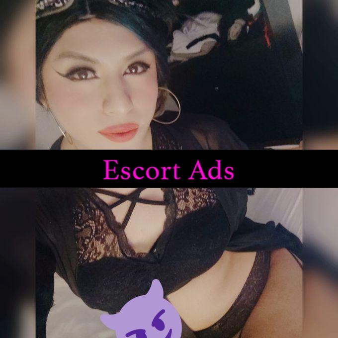 Annuncio Escort Ads - ❤️🔥TRANS BOMBA SEXY.. 🌶️ ATT & PAS💋 CON SCHIZZO PIENO DI LATTE 🔝💦