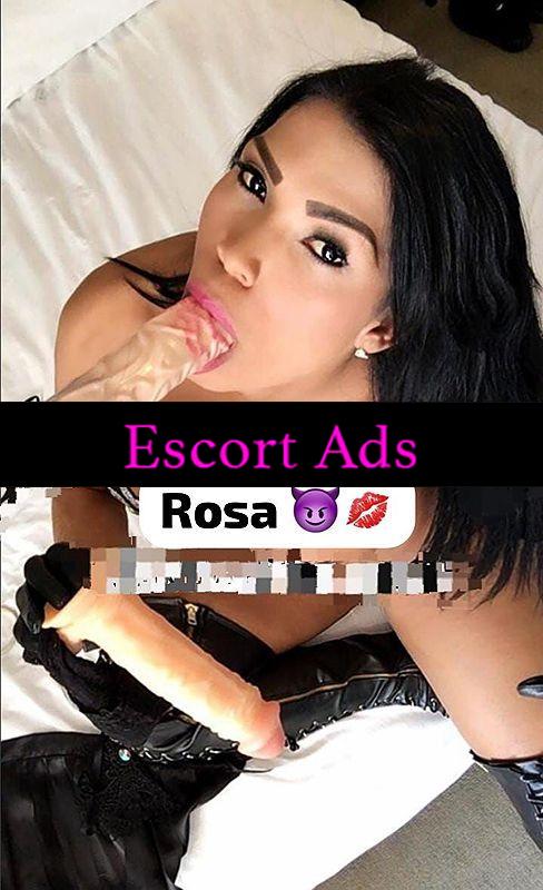 Annuncio Escort Ads - ROSA APPENA ARRIVATA ATTENZIONE 😈 BELLISSIMA TOP TRANS,MOLTO PORCA,sborrona, ATTIV/PASS, CAZZO GROSO SBORRANTE,ANCHE PER PRIME ESPERIENZE TUA PADRONA,